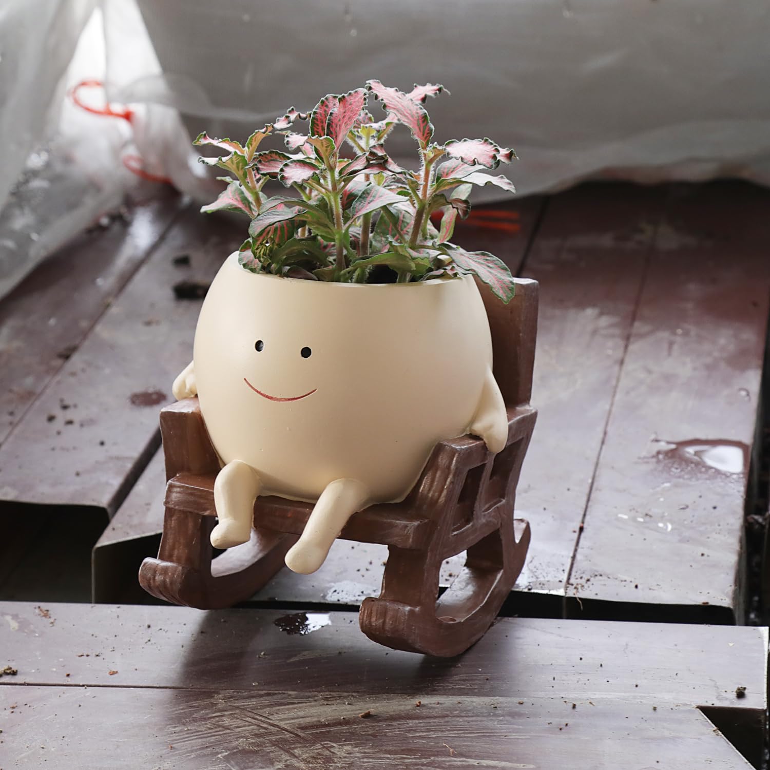 Rocking Chair Head Planter Editorial
