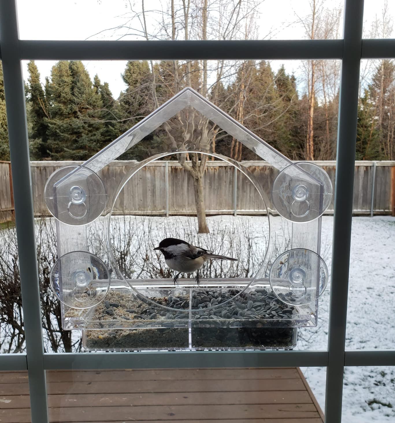 This Bird Feeder is a