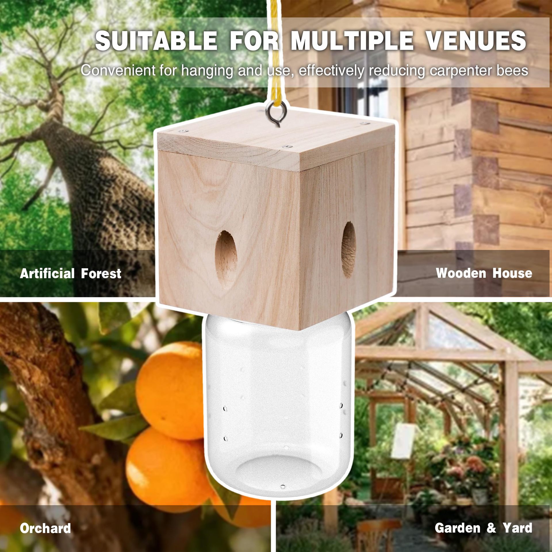 Trap installed near outdoor wood surfaces