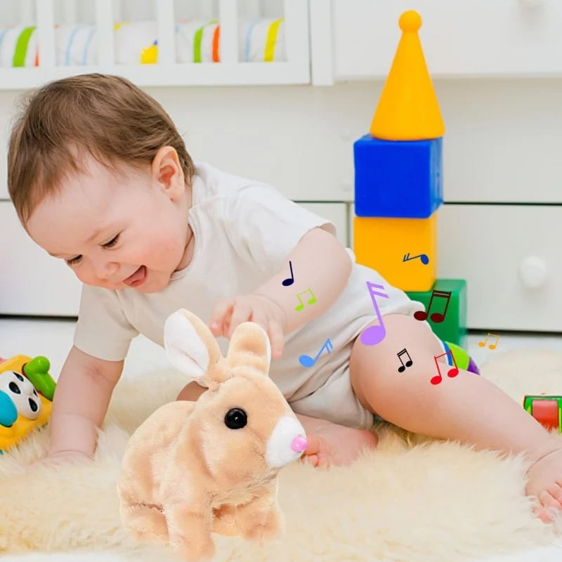 Interactive rabbit toy display