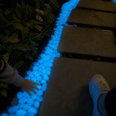 Blue glow pebbles beside a family garden walkway