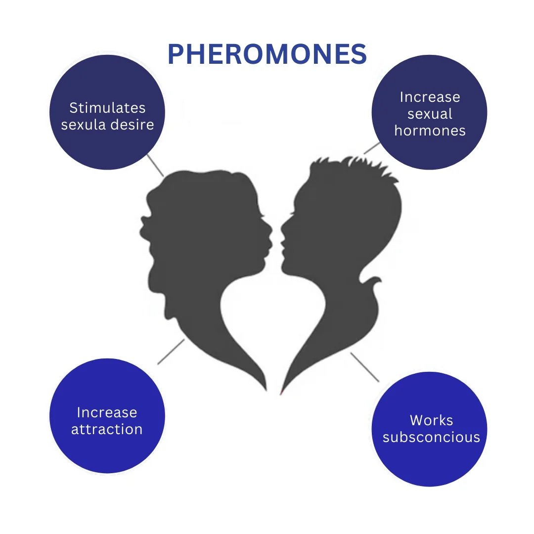 JOINFROZE™ Phenomena Perfume