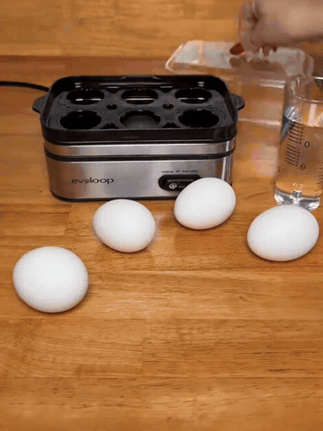 Both electric egg cooker styles in everyday use