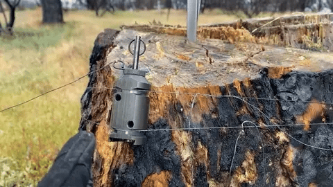 GIF of mounted camp safe GIF of mounted camp safe
