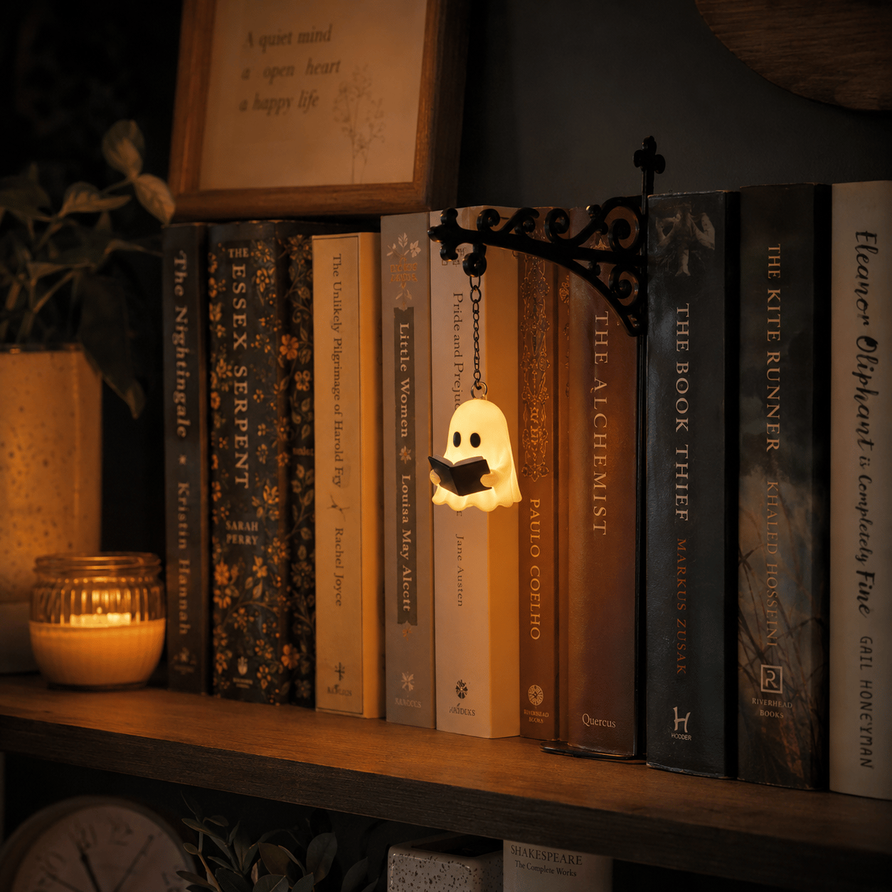 Full view of bookshelf display