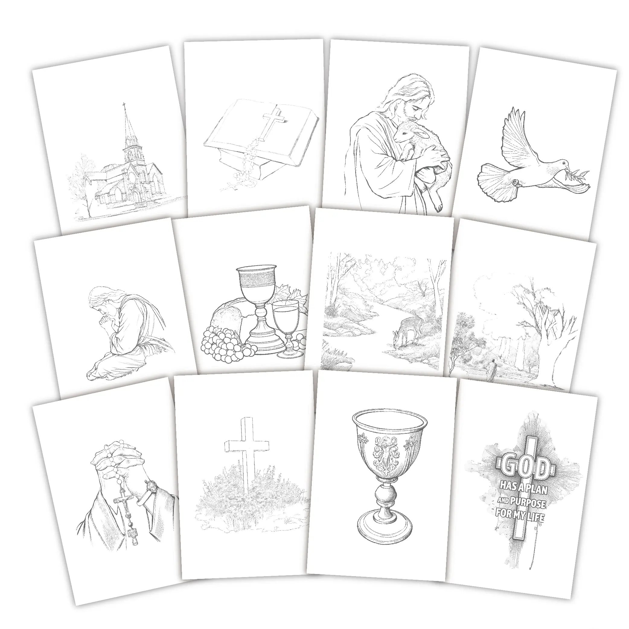 preview