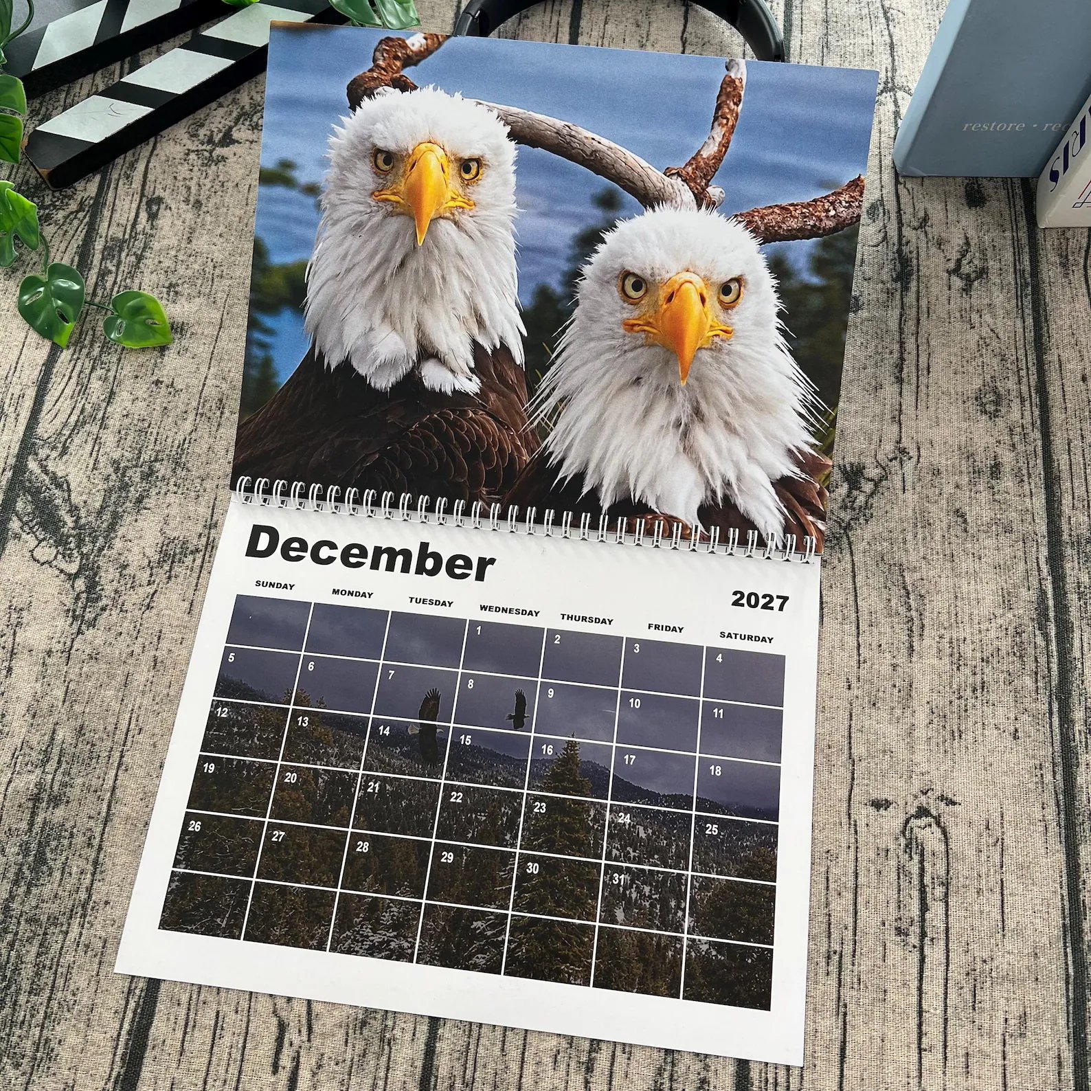 December 2027 bald eagle calendar