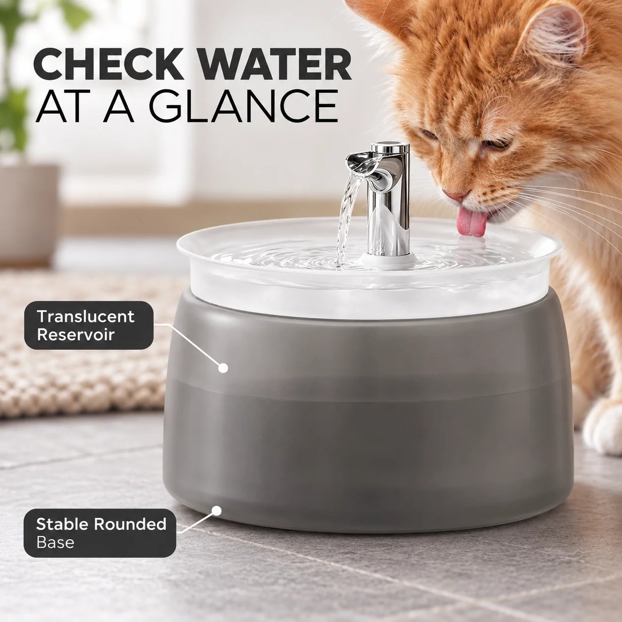 Cat and small dog water fountain