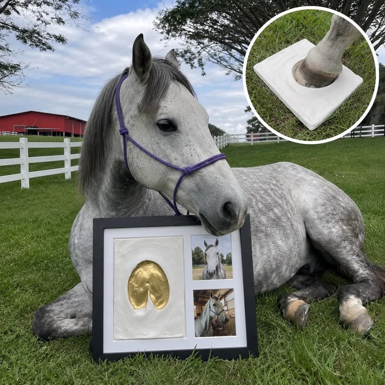 Horse owner creating a meaningful hoofprint keepsake