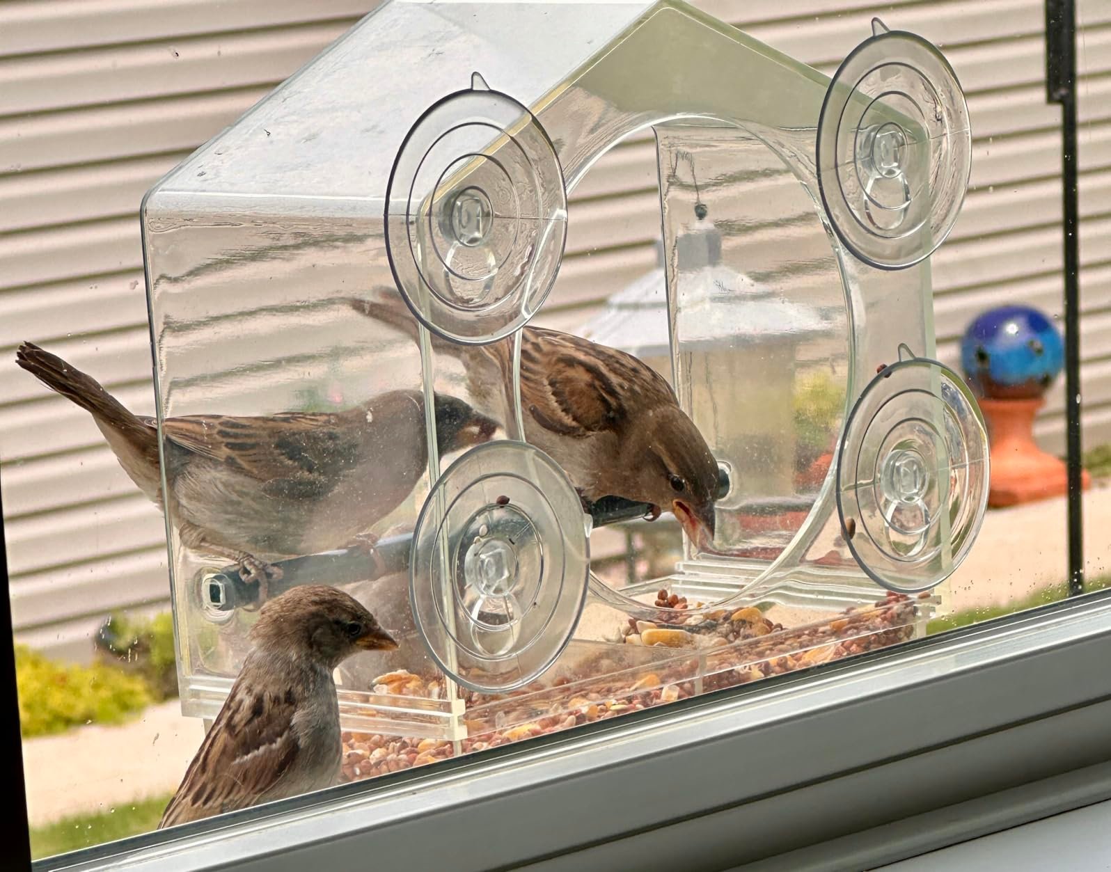 Love this bird feeder