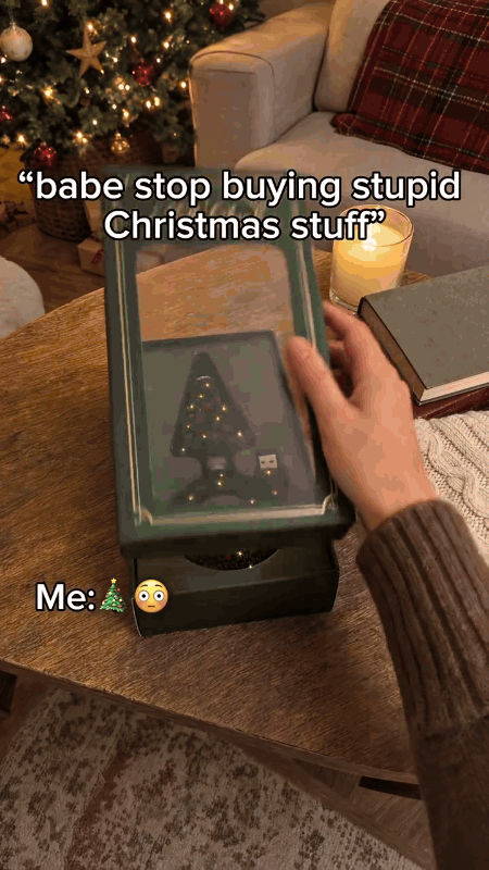 Christmas plug in projection light