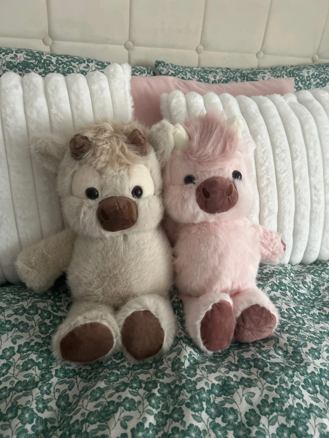 Customer holding the Run Series Highland cow plush toy