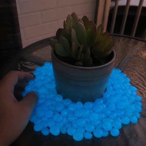 Blue glow pebbles around a patio succulent