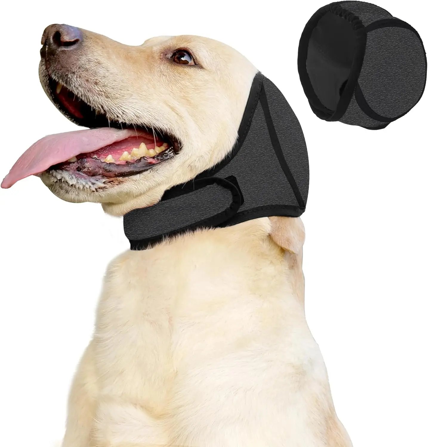 Dog wearing calming ear wrap