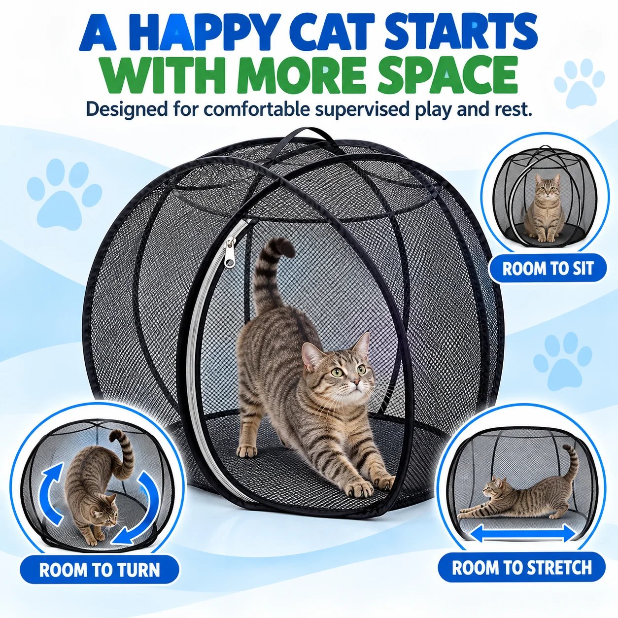 Roomy cat enclosure with space for stretching and exploring